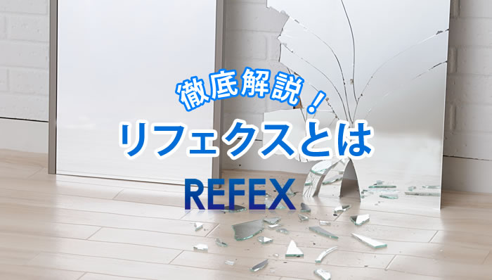 徹底解説！リフェクスミラーとは