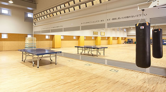 体育館にリフェクスミラー
